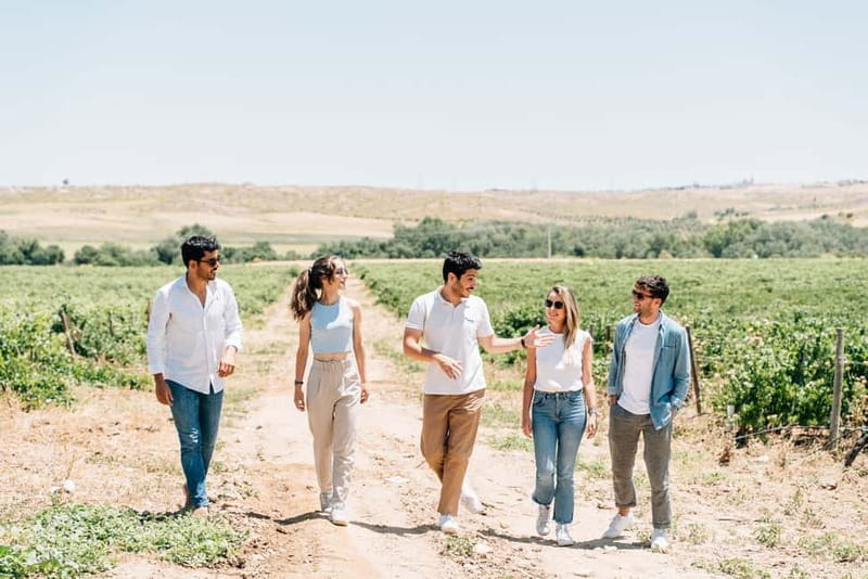From Madrid: Toledo Guided Tour & Winery Visit with Tasting - Three wines, Manchego, and Iberian charcuterie