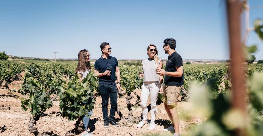 From Madrid: Traditional Villages, Winery Tour & Tapas Lunch - The coach ride and the shape of the day