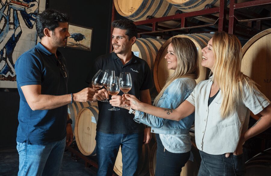From Madrid: Traditional Villages, Winery Tour & Tapas Lunch - The guide can shape the whole day
