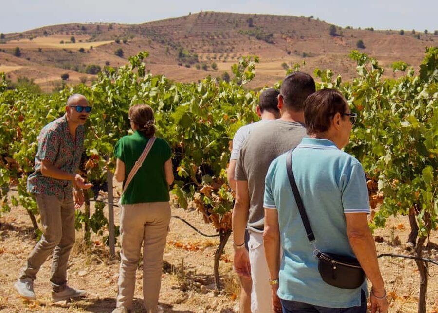 From Madrid: Visit Cuenca and a vineyard in the Spanish Tuscany - What kind of day should you expect?