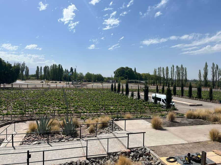 From Mendoza: 3 Wineries, Olive Oil Factory Tour & Tasting - Why Maipu works so well for a half-day wine tour