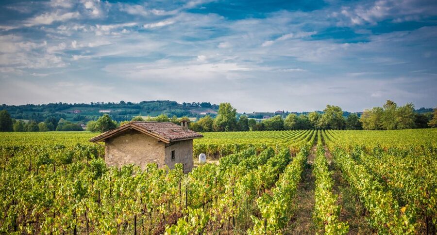 From Milan: Full Day in Franciacorta. 2 Wineries & Lunch - Why Franciacorta makes a good escape from Milan