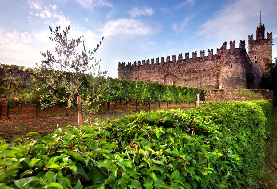 From Milan: Full Day in Franciacorta. 2 Wineries & Lunch - Second winery: the Berlucchi comparison
