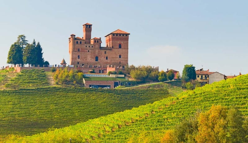 From Milan: Langhe Wine Region Day Trip with Barolo Tasting - Why this Langhe day trip works from Milan