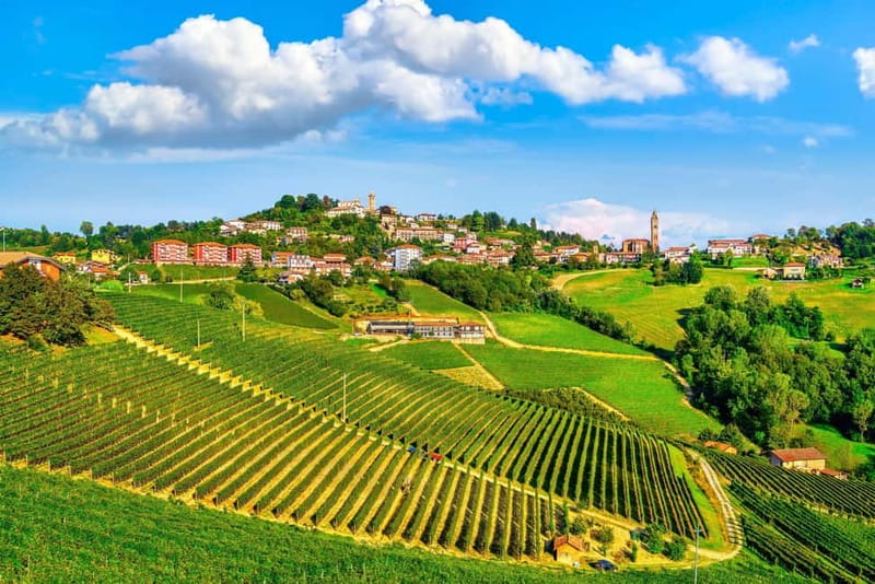 From Milan: Langhe Wine Region Day Trip with Barolo Tasting - Alba from November to March