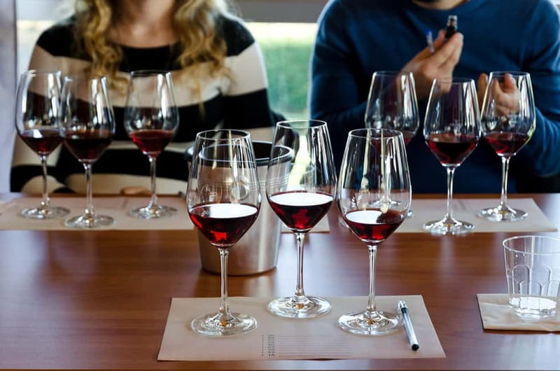 From Milan: Langhe Wine Region Day Trip with Barolo Tasting - The six-glass tasting at a Langhe winery