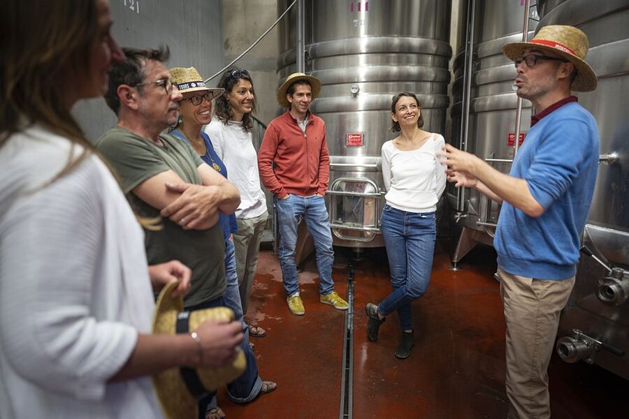 From Montpellier: Half-Day Vineyard & Pic Saint-Loup Tour - What to know before you go