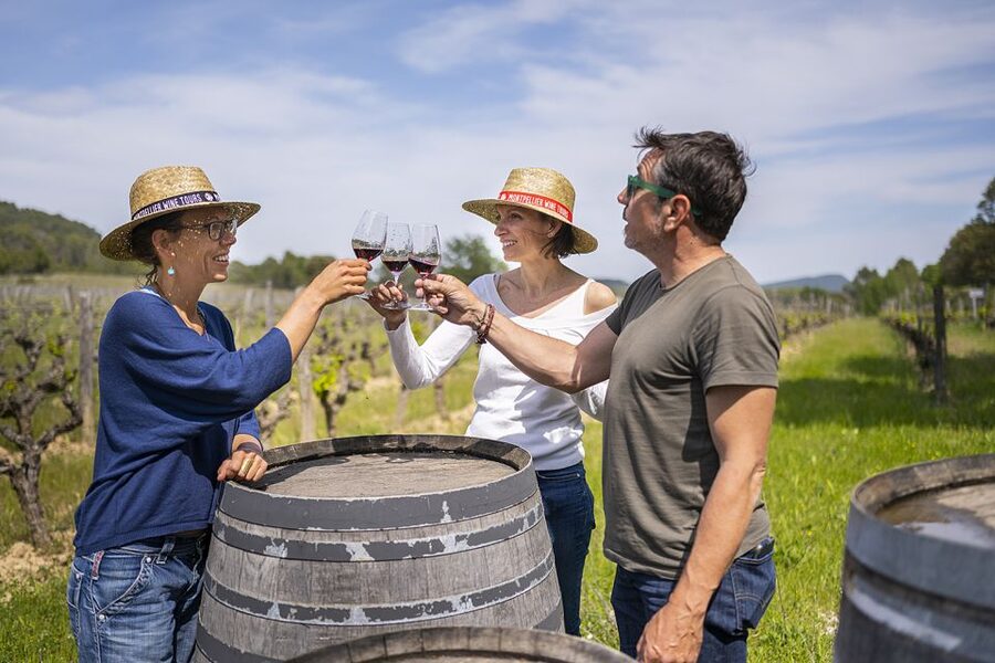 From Montpellier: Half-Day Vineyard & Pic Saint-Loup Tour - The short transfer between estates