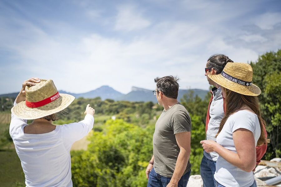 From Montpellier: Half-Day Vineyard & Pic Saint-Loup Tour - The second estate and a wider tasting