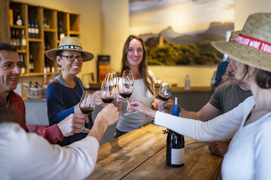 From Montpellier: Half-Day Vineyard & Pic Saint-Loup Tour - Guides, languages, and the small-group feel