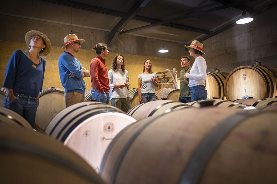 From Montpellier: Half-Day Vineyard & Pic Saint-Loup Tour - Is $93 a fair price?