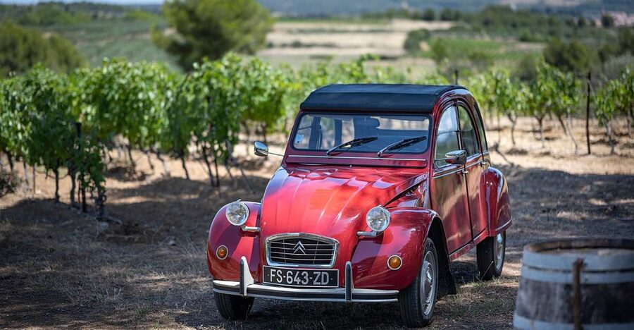 From Montpellier: Winery Tour in a Vintage Citroën 2CV - A 15-minute ride between two very different stops