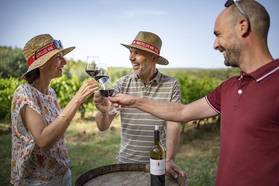 From Montpellier: Winery Tour in a Vintage Citroën 2CV - The second estate and a broader tasting