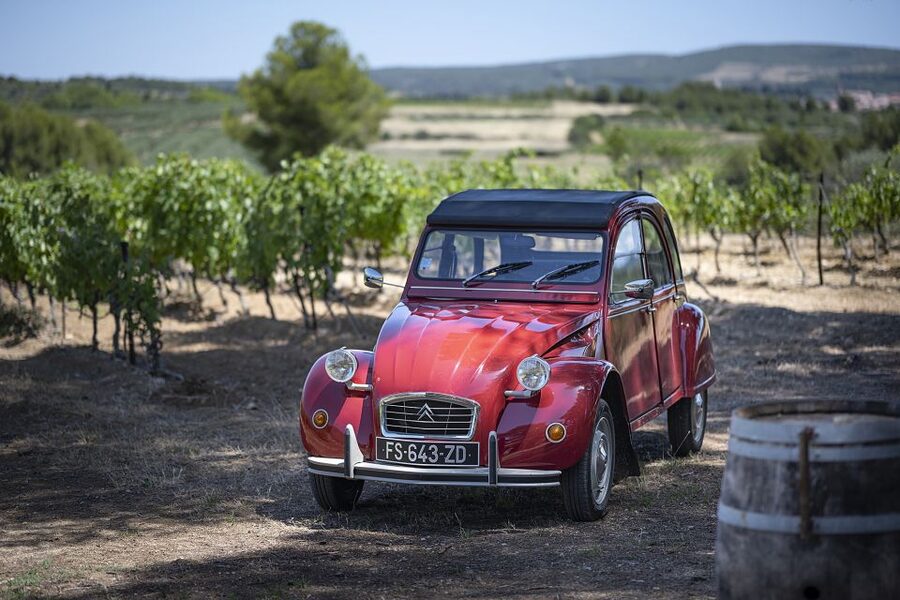From Montpellier: Winery Tour in a Vintage Citroën 2CV - The first estate: cellar, barrels, and regional context