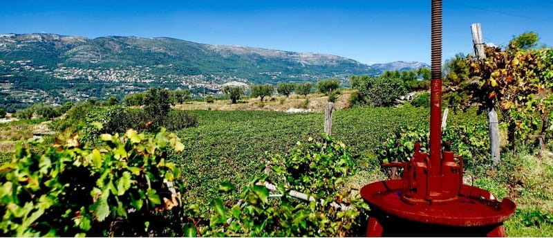 From Nice: Half-Day Wine Tour in the Bellet Wine Region - The 30-minute ride from Nice to Bellet