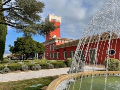Half-Day Wine Tour in the Bellet Wine Region