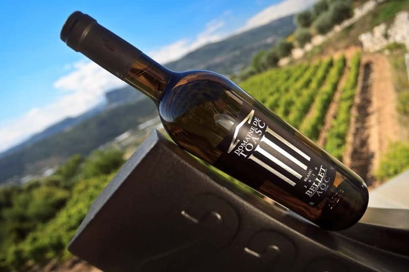 From Nice: Half-Day Wine Tour in the Bellet Wine Region - The return to Nice