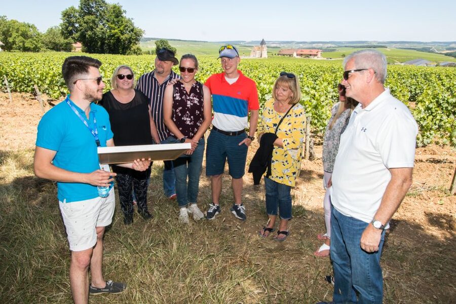 From Paris: Burgundy Region Winery Tour with Tastings - Why this Burgundy day trip works from Paris