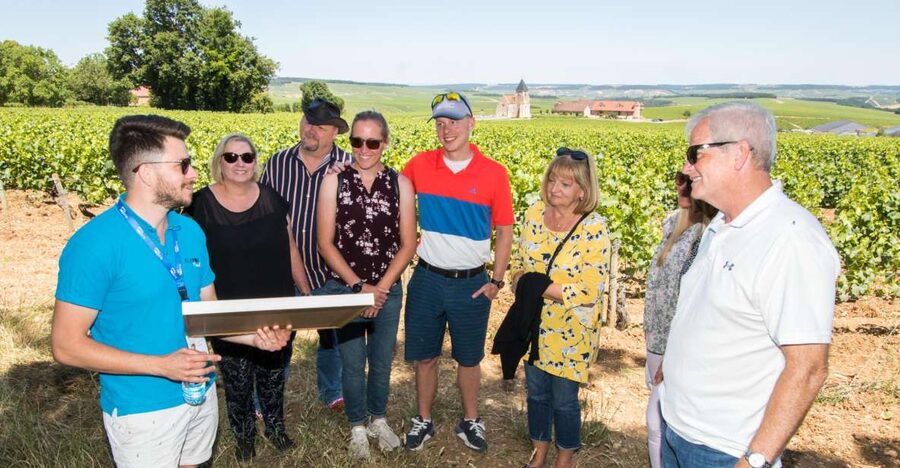 From Paris: Burgundy Region Winery Tour with Tastings - Lunch and free time in the town of Chablis