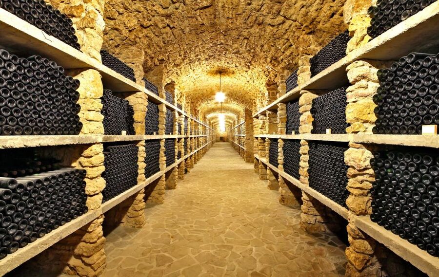 From Paris: Burgundy Region Winery Tour with Tastings - Domaine Bersan and a family cellar dating to 1453