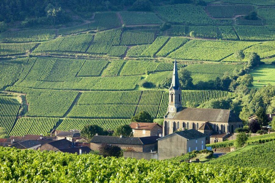 From Paris: Burgundy Region Winery Tour with Tastings - Les Caves Bailly Lapierre and the final Crémant tasting