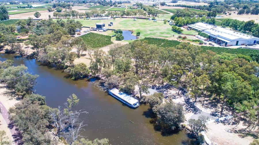From Perth: Swan Valley Cruise, Winery, Cheese & Lunch - Who should book this cruise