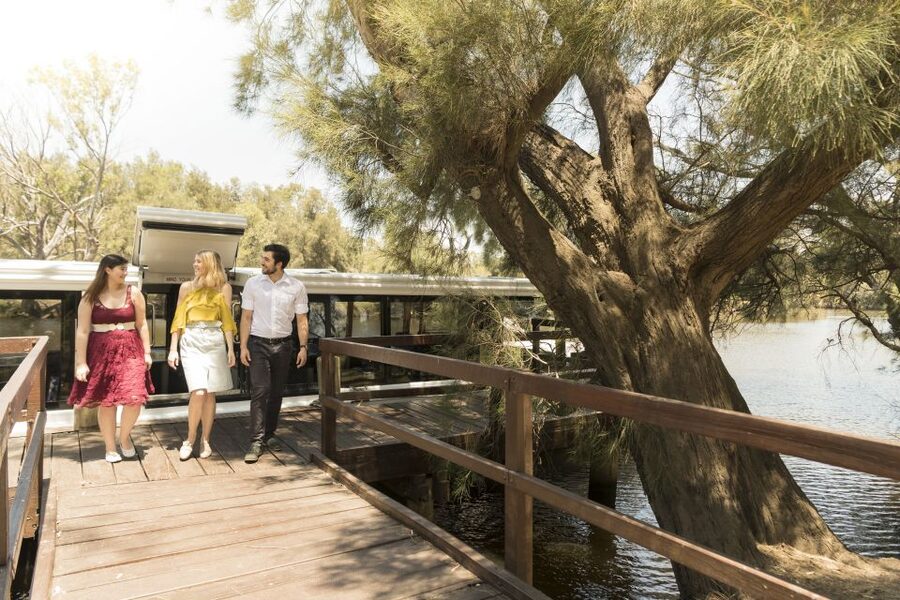 From Perth: Swan Valley Cruise, Winery, Cheese & Lunch - Live singing is a real part of the experience