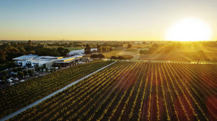 From Perth: Swan Valley Cruise, Winery, Cheese & Lunch - Boarding at Pier 3 and settling into your group
