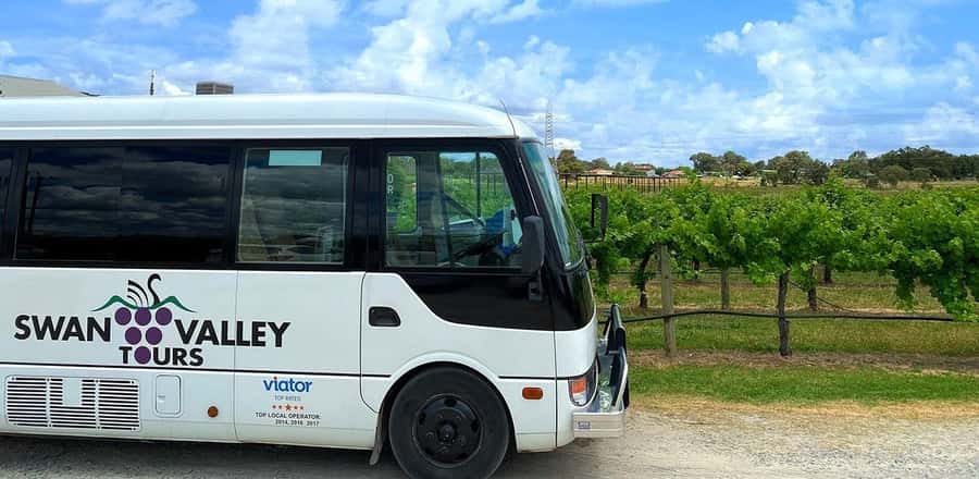 From Perth: Swan Valley Winery & Brewery Day Tour With Lunch - Boutique beer gives the day a useful change of pace