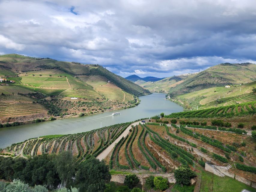 From Peso da Régua: Visit 3 wineries, tasting and viewpoint - Three Douro producers, three different angles