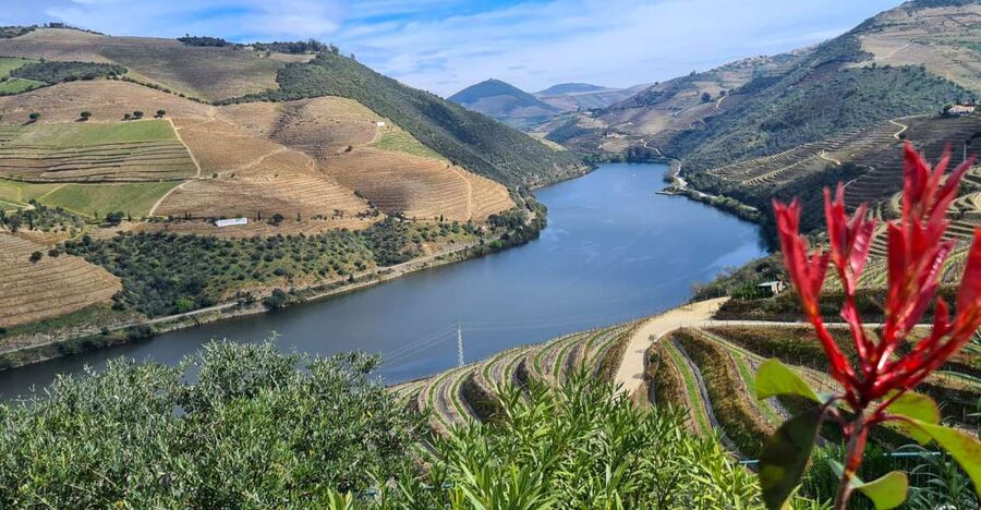 From Peso da Régua: Visit 3 wineries, tasting and viewpoint - Starting in Peso da Régua without a car