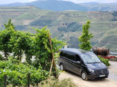From Peso da Régua: Visit 3 wineries, tasting and viewpoint
