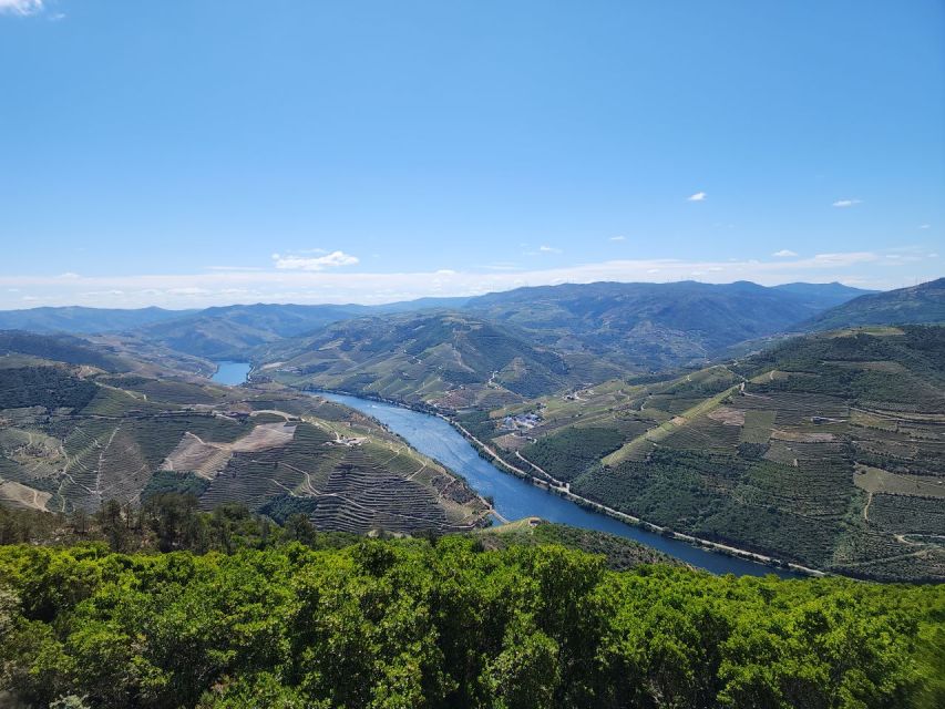 From Peso da Régua: Visit 3 wineries, tasting and viewpoint - The viewpoint that completes the day