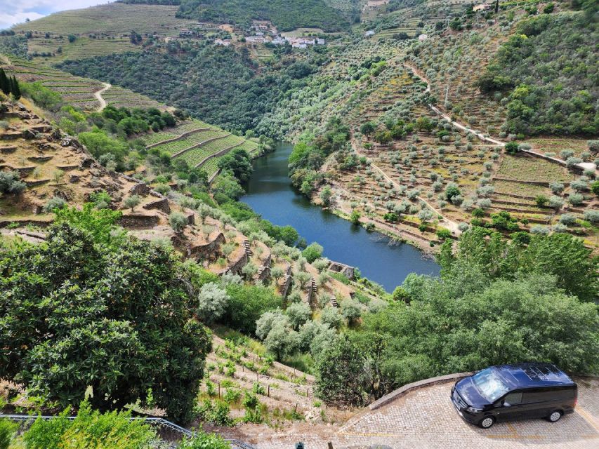 From Peso da Régua: Visit 3 wineries, tasting and viewpoint - What Emmanuel and Fernando add