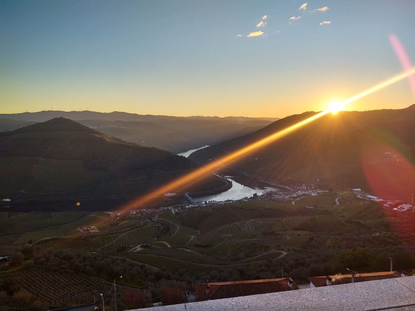 From Peso da Régua: Visit 3 wineries, tasting and viewpoint - Booking details worth knowing