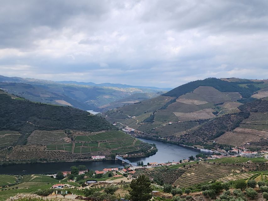 From Peso da Régua: Visit 3 wineries, tasting and viewpoint - Should you book this Douro day?