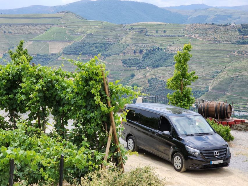 From Peso da Régua: Visit 3 wineries, tasting and viewpoint - The first two 90-minute winery visits