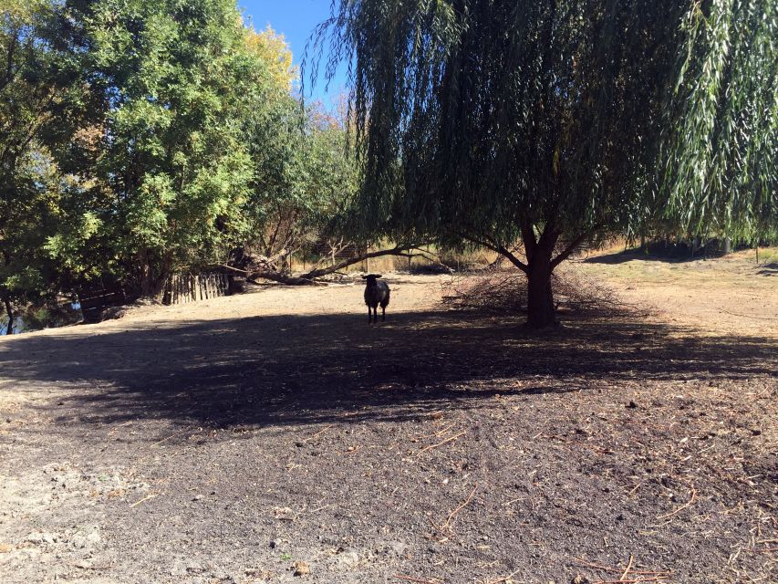 From Portland: Willamette Valley Character Wineries - Leaving Portland for Oregon wine country