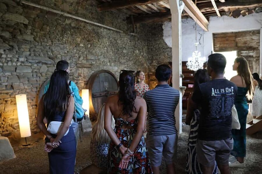 From Porto: 2 Boutique Wineries w/ Winery Lunch & 1-h cruise - What $146 includes, and what it does not