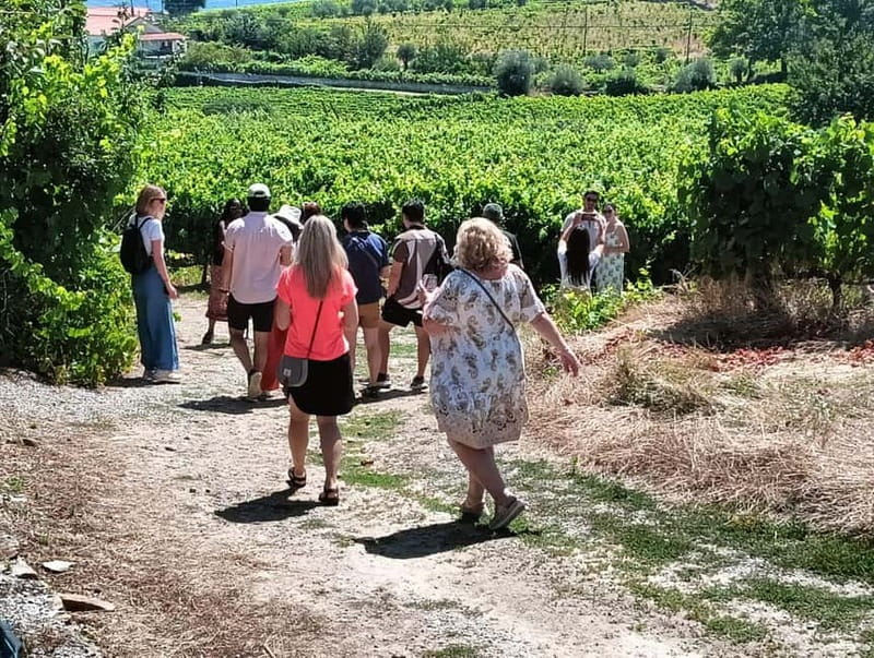 From Porto: 2 Wine Regions, Farm Lunch, and Boat Ride - From Porto to the Douro Valley in 90 minutes