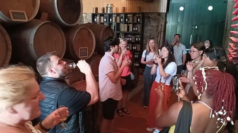 From Porto: 2 Wine Regions, Farm Lunch, and Boat Ride - Miradouro São Cristóvão and the postcard stop