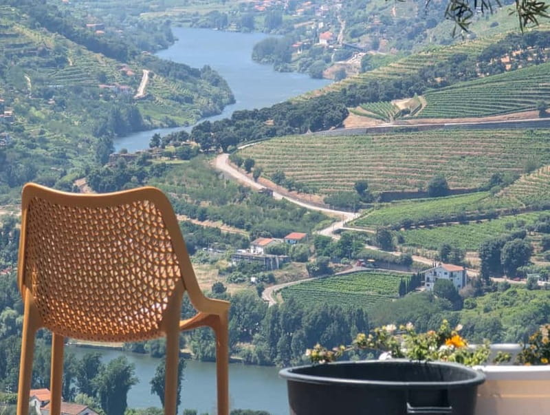 From Porto: 2 Wine Regions, Farm-to-Table Lunch & Boat - Who will enjoy this day most?