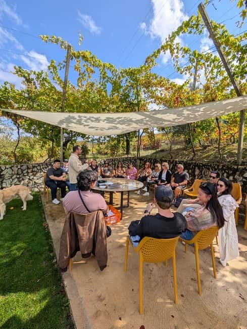 From Porto: 2 Wine Regions, Farm-to-Table Lunch & Boat - Watch Vintage Port opened with fire