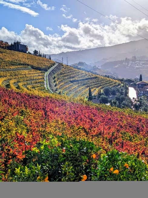From Porto: 2 Wine Regions, Farm-to-Table Lunch & Boat - Pinhão and the one-hour private boat cruise