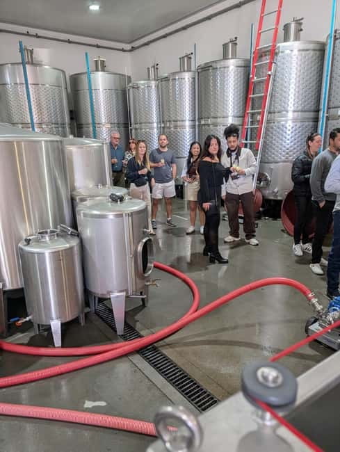 From Porto: 2 Wine Regions, Farm-to-Table Lunch & Boat - How much wine and food should you expect?