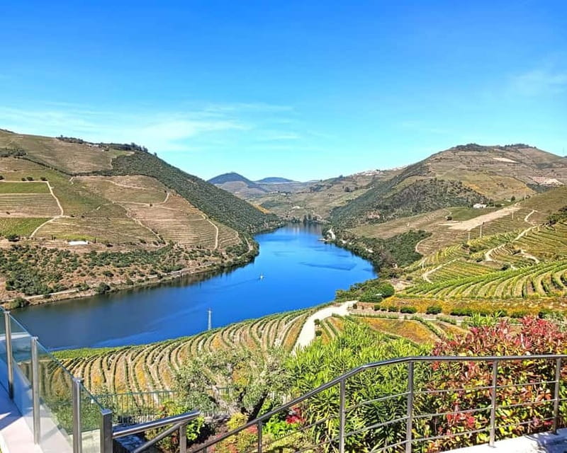 From Porto: Douro Valley Private Tour w/ 3 Wineries & Lunch - Key points at a glance