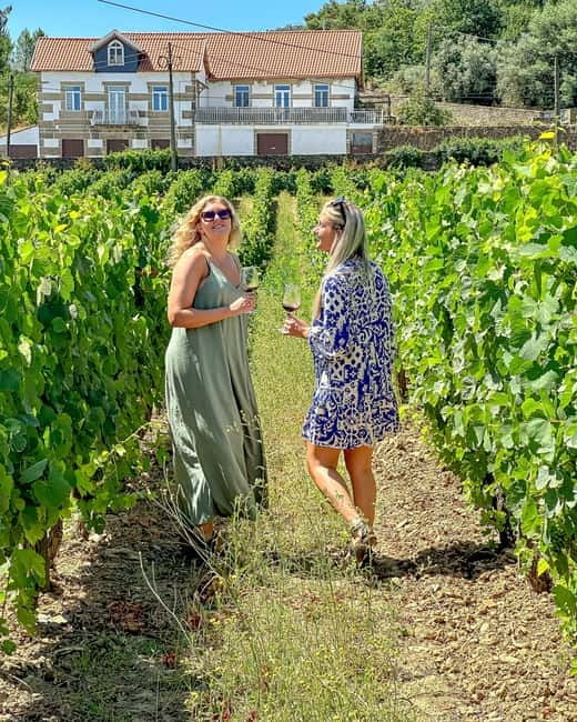 From Porto: Douro Valley Private Tour w/ 3 Wineries & Lunch - Why this Douro day works so well from Porto
