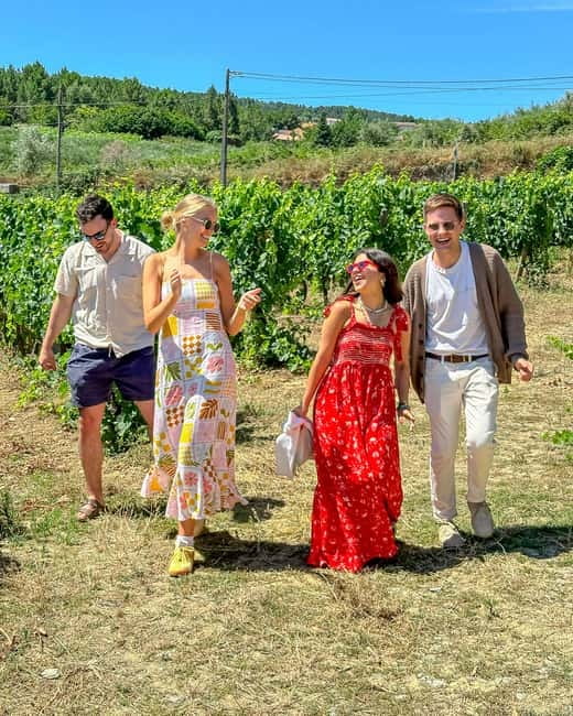 From Porto: Douro Valley Private Tour w/ 3 Wineries & Lunch - A winery lunch with Port and valley views