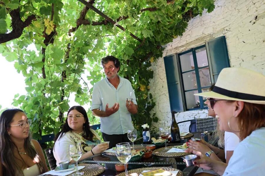 From Porto : Douro Valley sightseeing with 1 Winery Visit - The road into the Douro Valley