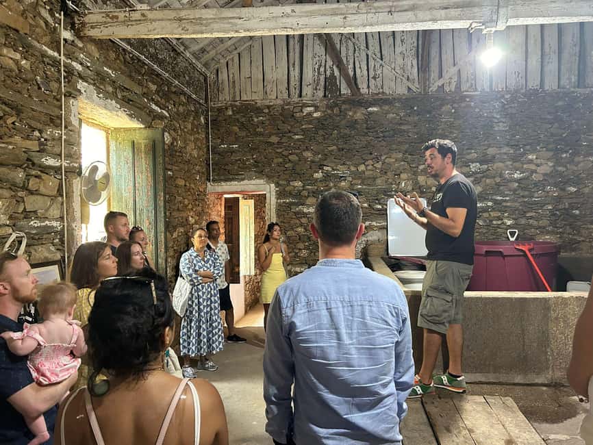 From Porto : Douro Valley sightseeing with 1 Winery Visit - One hour in Peso da Régua